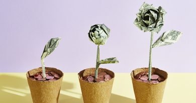 The money plant grows bigger