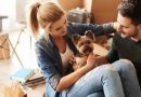 young-new-homeowners-having-a-break-from-moving-house-with-pet