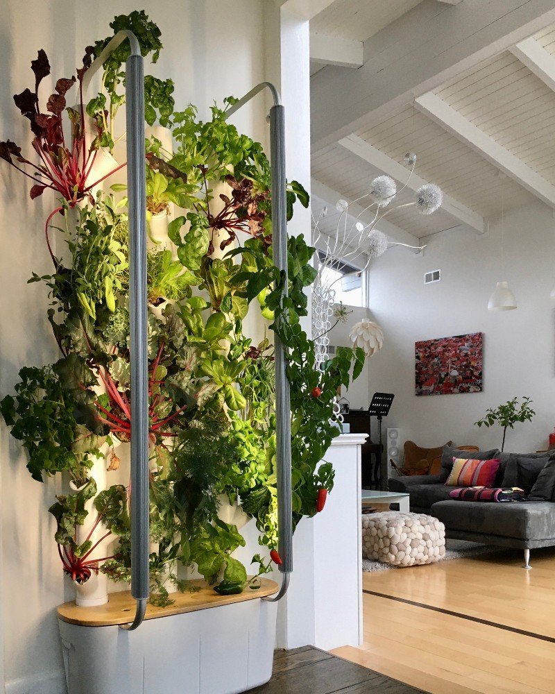 gardyn-fresh-produce-growing-in-living-room