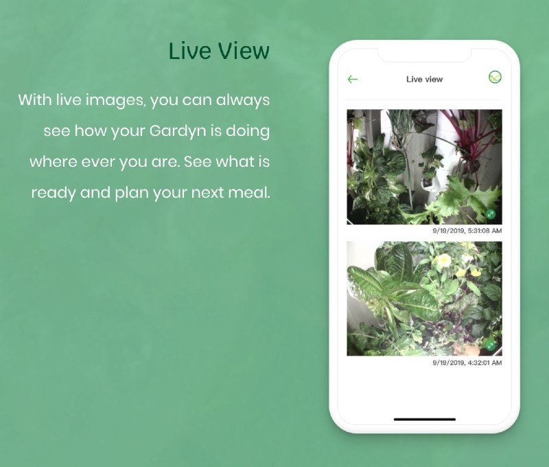 gardyn-smart-indoor-garden-assistant-kelby-live-view